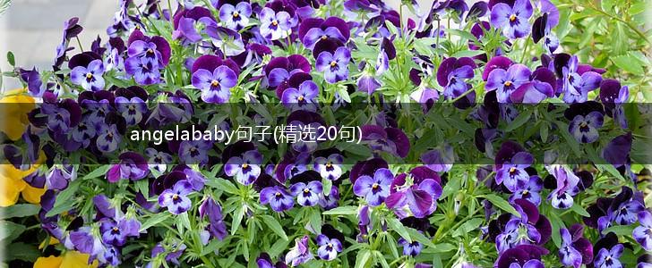 angelababy句子(精选20句),第1张