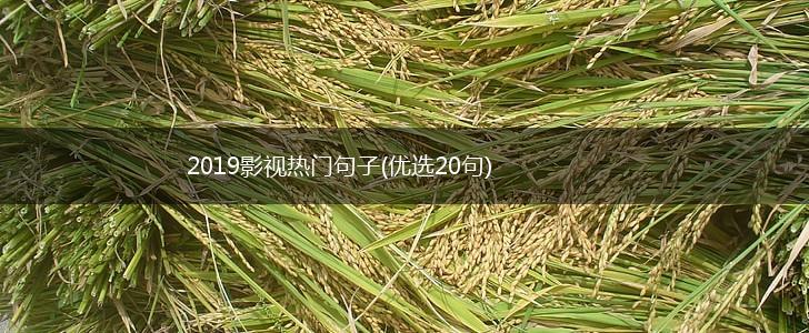2019影视热门句子(优选20句),第1张