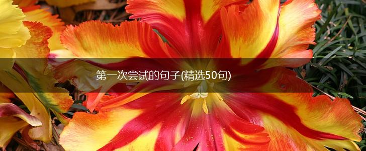 第一次尝试的句子(精选50句),第1张