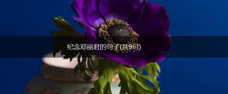 纪念邓丽君的句子(共9句),第1张