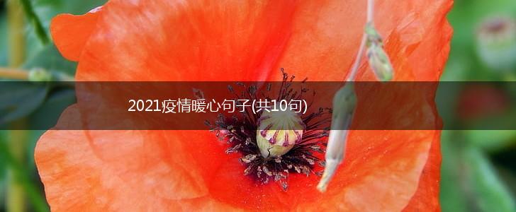 2021疫情暖心句子(共10句),第1张