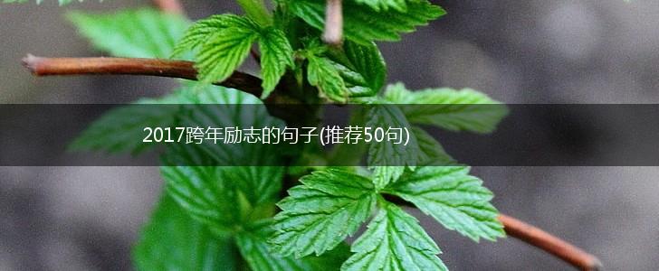 2017跨年励志的句子(推荐50句),第1张