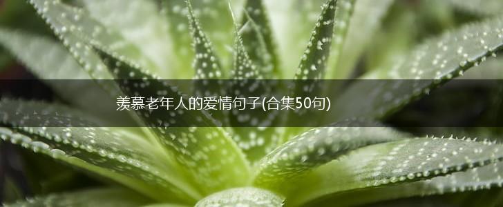 羡慕老年人的爱情句子(合集50句),第1张