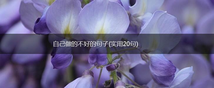 自己做的不好的句子(实用20句),第1张
