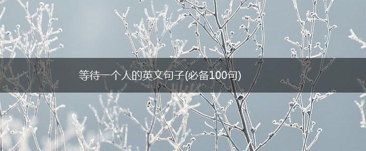等待一个人的英文句子(必备100句),第1张