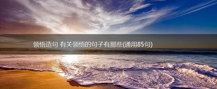领悟造句 有关领悟的句子有那些(通用85句),第1张