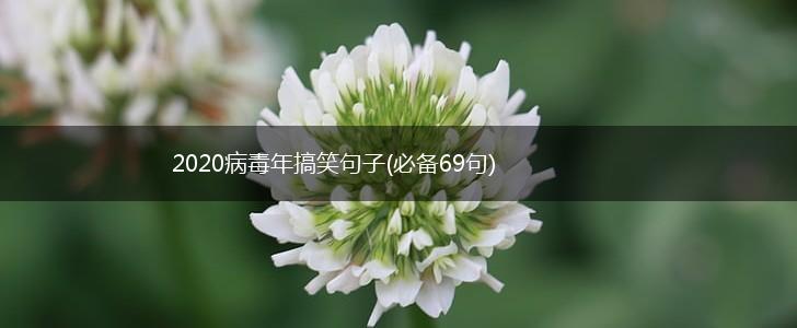 2020病毒年搞笑句子(必备69句),第1张