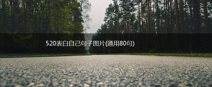 520表白自己句子图片(通用80句),第1张