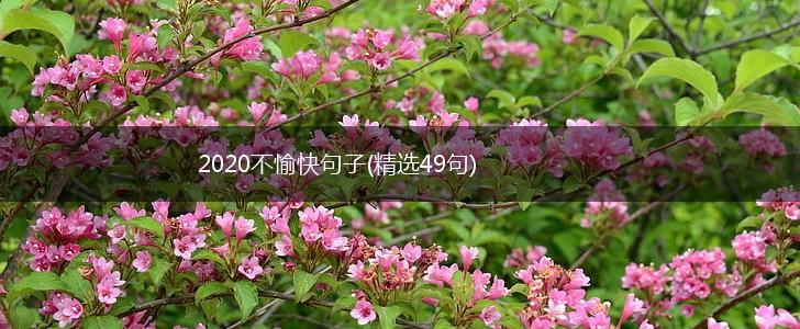 2020不愉快句子(精选49句),第1张
