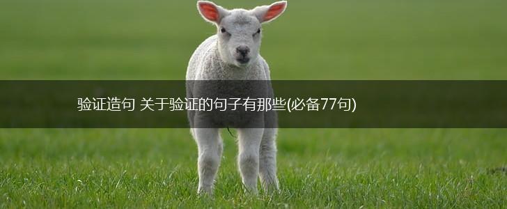 验证造句 关于验证的句子有那些(必备77句),第1张