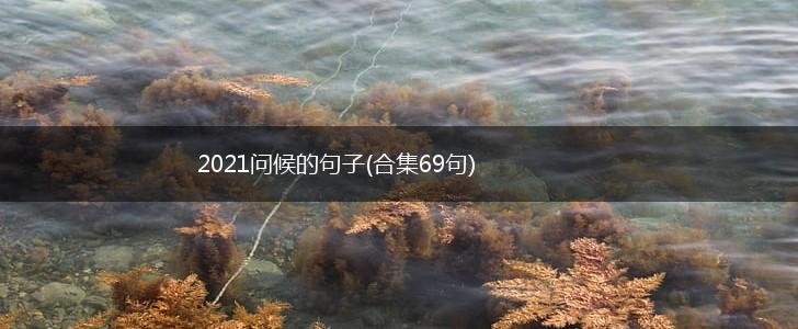2021问候的句子(合集69句),第1张