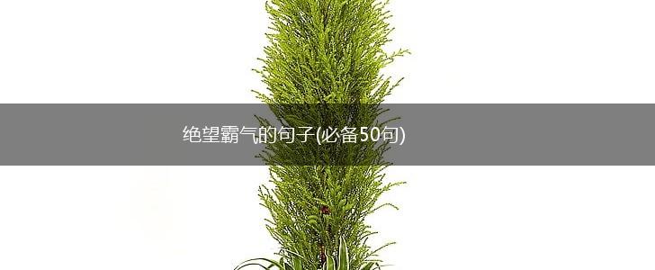 绝望霸气的句子(必备50句),第1张