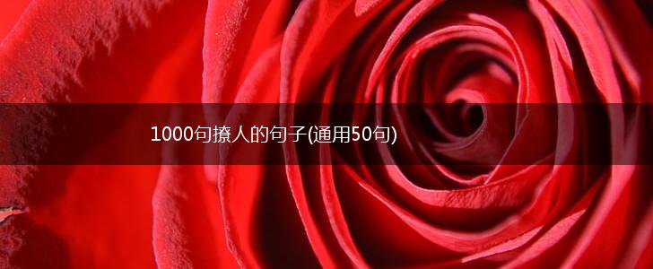 1000句撩人的句子(通用50句),第1张