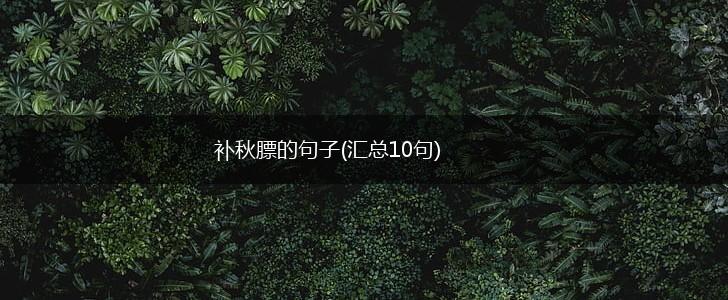补秋膘的句子(汇总10句),第1张