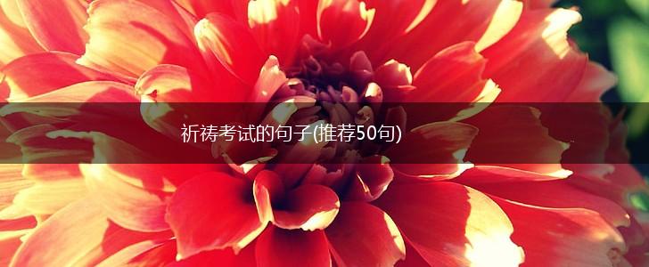 祈祷考试的句子(推荐50句),第1张