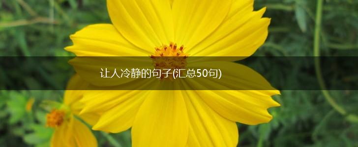 让人冷静的句子(汇总50句),第1张