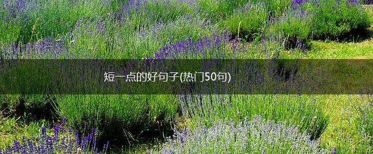 短一点的好句子(热门50句),第1张