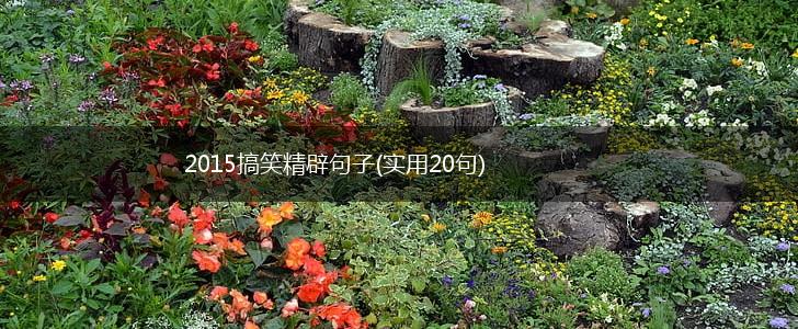 2015搞笑精辟句子(实用20句),第1张