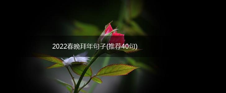 2022春晚拜年句子(推荐40句),第1张