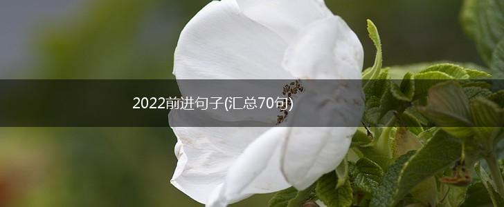 2022前进句子(汇总70句),第1张