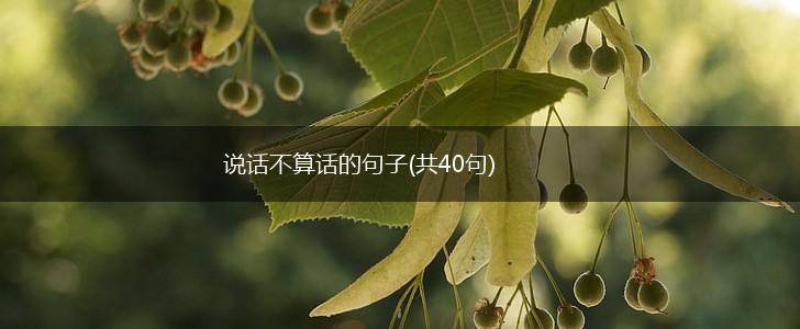 说话不算话的句子(共40句),第1张