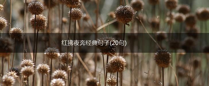 红拂夜奔经典句子(20句),第1张
