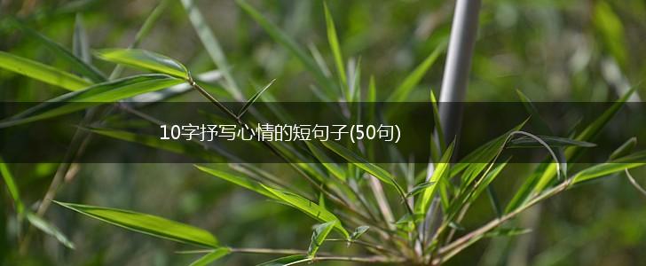 10字抒写心情的短句子(50句),第1张