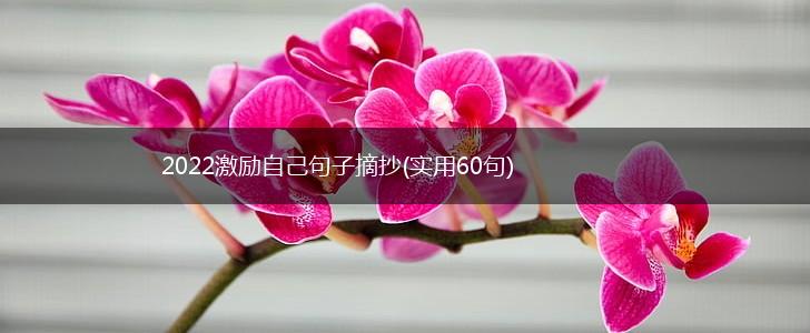 2022激励自己句子摘抄(实用60句),第1张