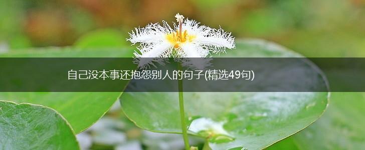 自己没本事还抱怨别人的句子(精选49句),第1张