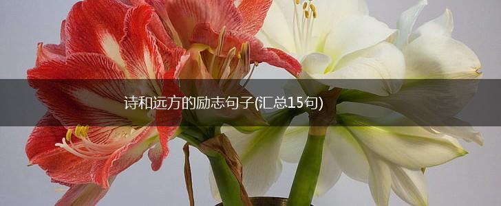 诗和远方的励志句子(汇总15句),第1张