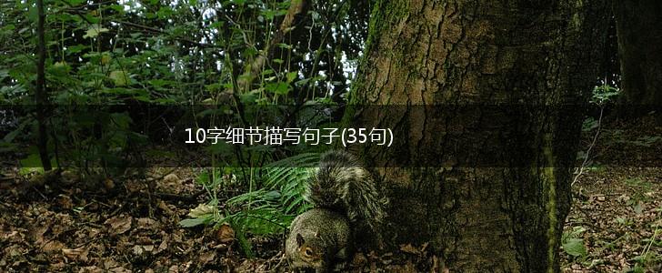 10字细节描写句子(35句),第1张