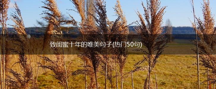 致闺蜜十年的唯美句子(热门50句),第1张