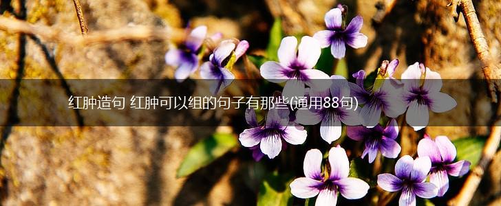 红肿造句 红肿可以组的句子有那些(通用88句),第1张
