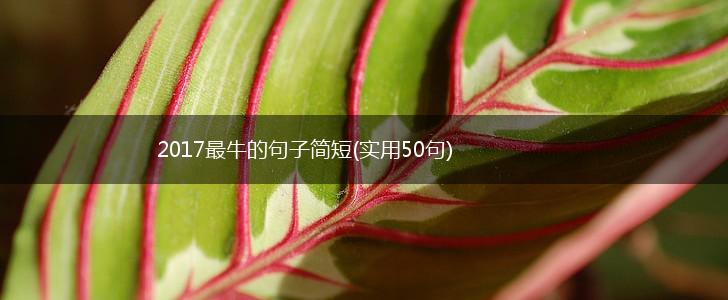 2017最牛的句子简短(实用50句),第1张