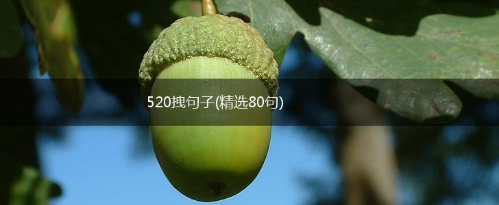 520拽句子(精选80句),第1张