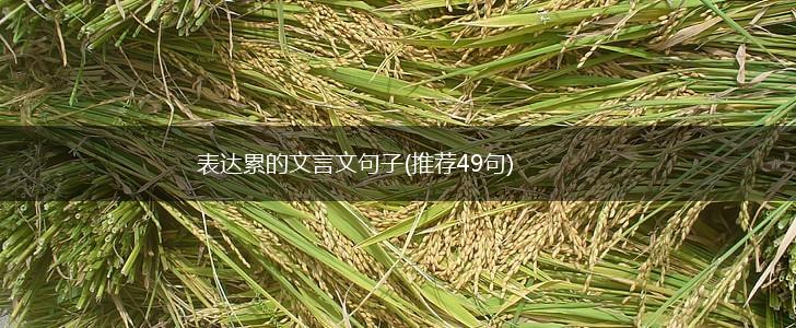 表达累的文言文句子(推荐49句),第1张