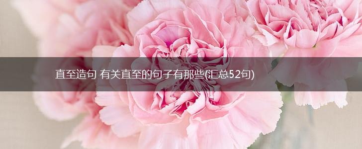 直至造句 有关直至的句子有那些(汇总52句),第1张