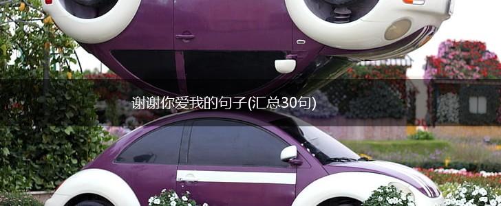 谢谢你爱我的句子(汇总30句),第1张