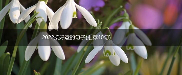 2022接好运的句子(推荐40句),第1张