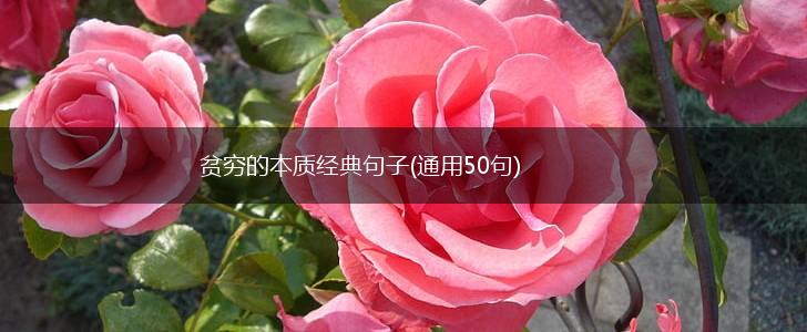 贫穷的本质经典句子(通用50句),第1张