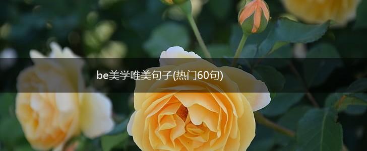 be美学唯美句子(热门60句),第1张 be美学唯美句子(热门60句),第1张