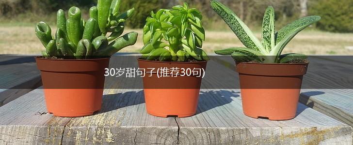 30岁甜句子(推荐30句),第1张