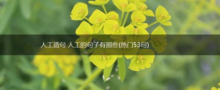 人工造句 人工的句子有那些(热门53句),第1张