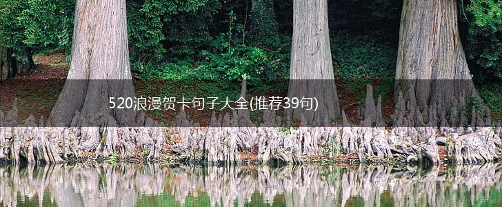 520浪漫贺卡句子大全(推荐39句),第1张