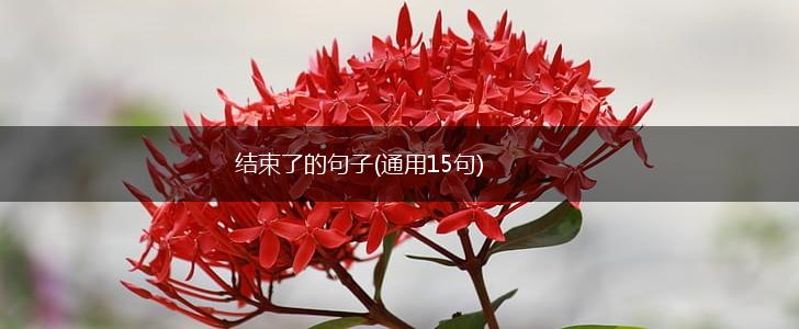 结束了的句子(通用15句),第1张