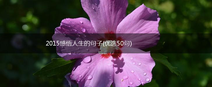 2015感悟人生的句子(优选50句),第1张