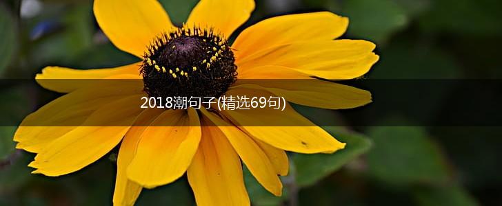 2018潮句子(精选69句),第1张