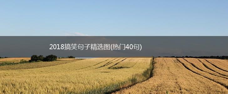 2018搞笑句子精选图(热门40句),第1张
