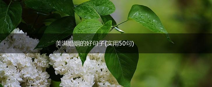 美满婚姻的好句子(实用50句),第1张