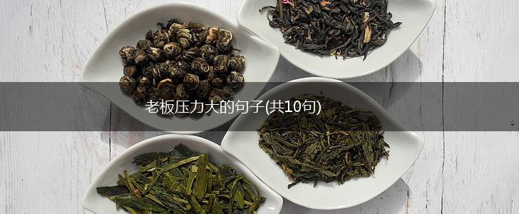 老板压力大的句子(共10句),第1张